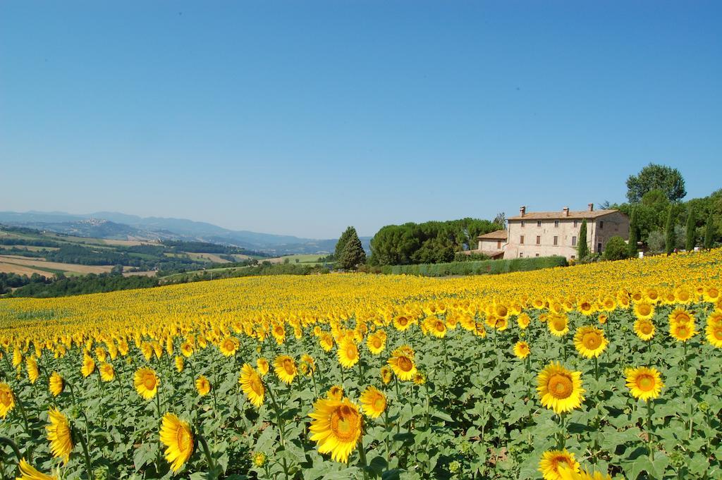 Agriturismo Casale Dei Frontini San Terenziano Dış mekan fotoğraf