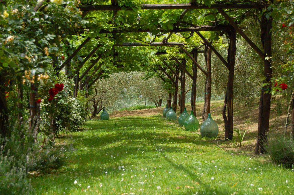 Agriturismo Casale Dei Frontini San Terenziano Dış mekan fotoğraf
