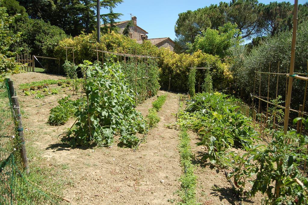 Agriturismo Casale Dei Frontini San Terenziano Dış mekan fotoğraf