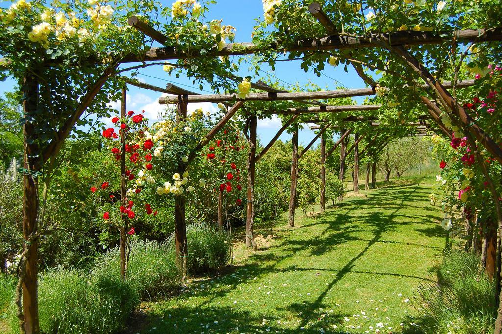 Agriturismo Casale Dei Frontini San Terenziano Dış mekan fotoğraf