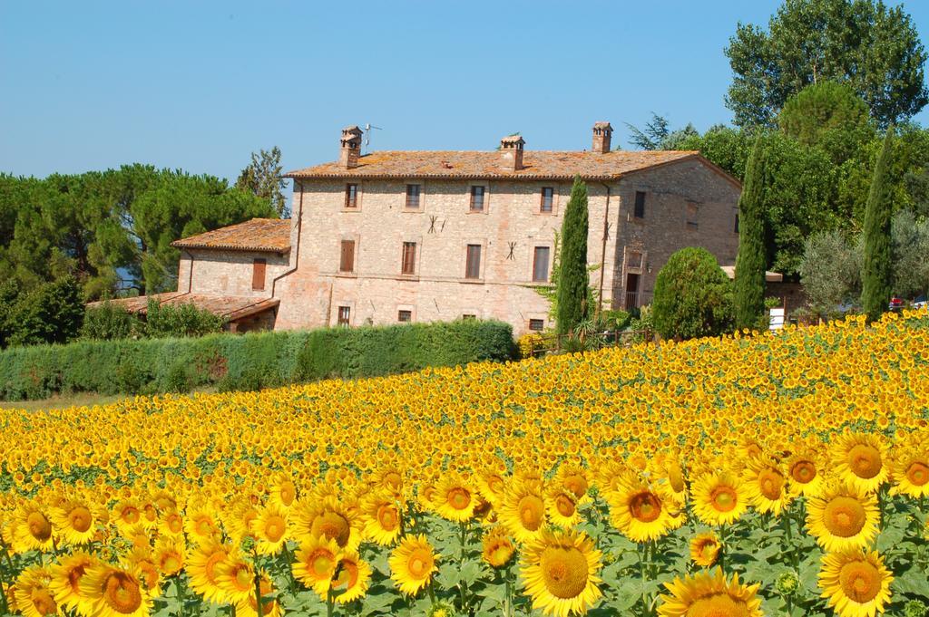Agriturismo Casale Dei Frontini San Terenziano Dış mekan fotoğraf