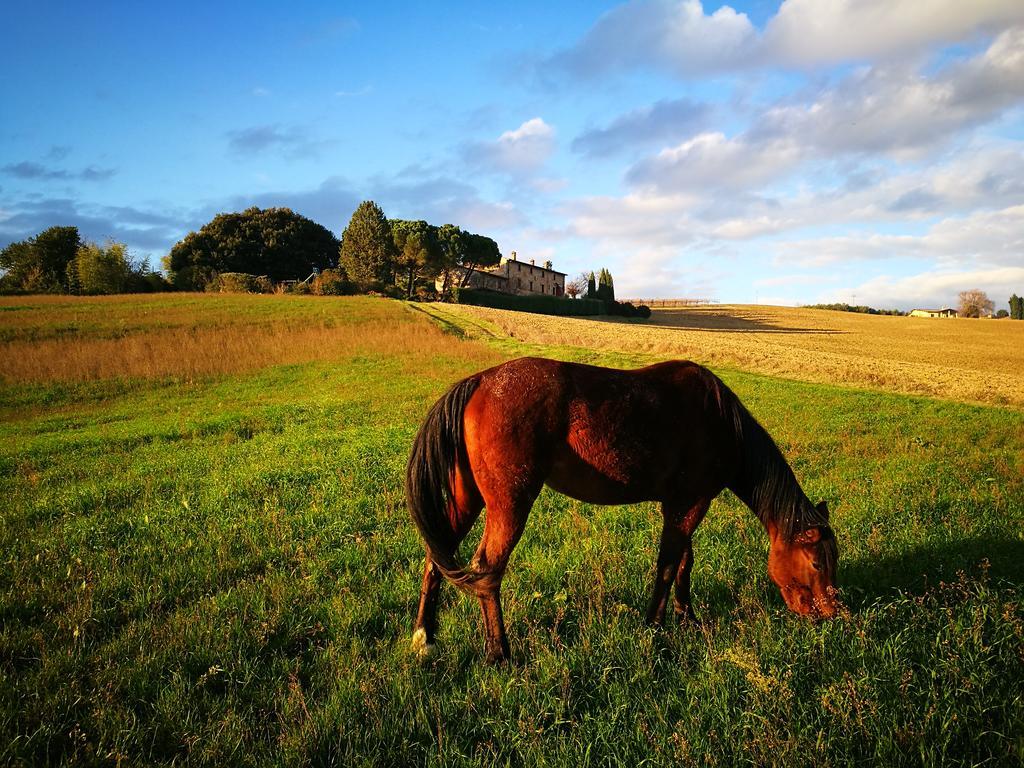 Agriturismo Casale Dei Frontini San Terenziano Dış mekan fotoğraf