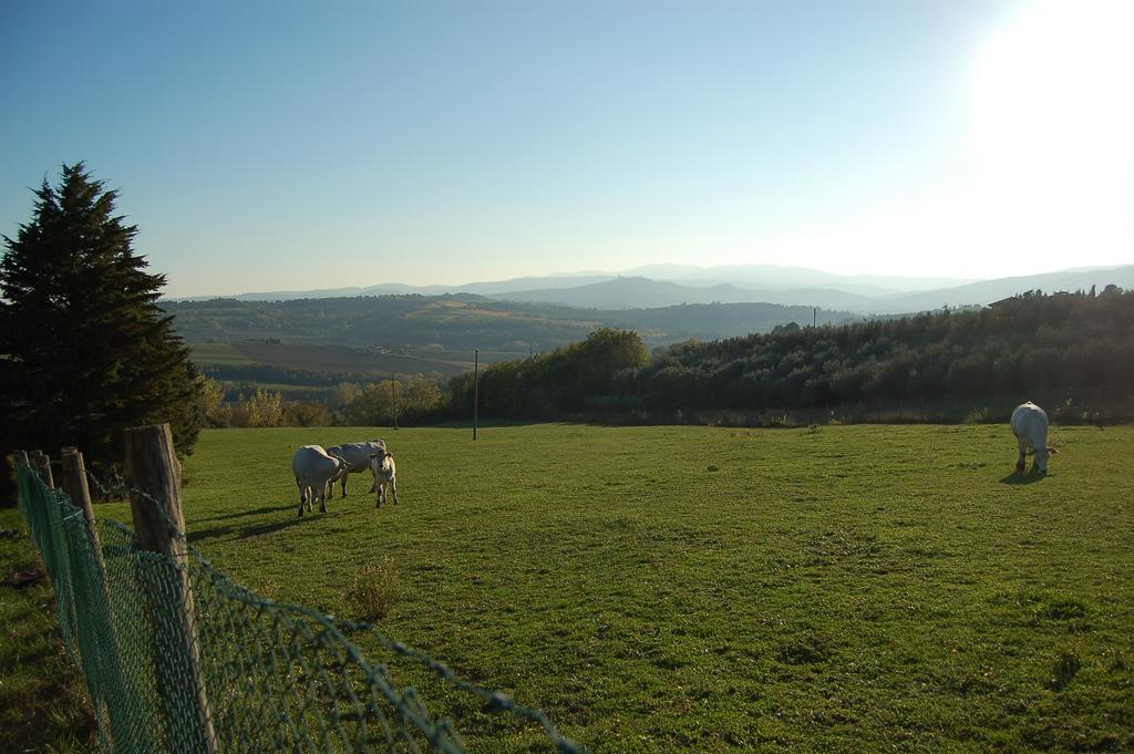 Agriturismo Casale Dei Frontini San Terenziano Dış mekan fotoğraf