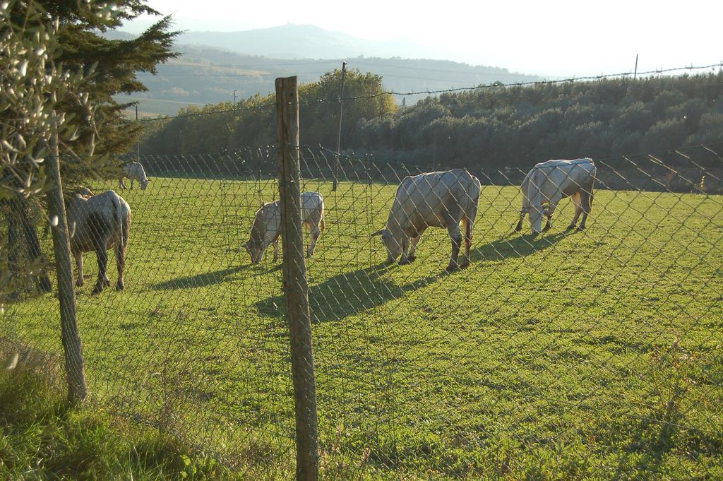 Agriturismo Casale Dei Frontini San Terenziano Dış mekan fotoğraf