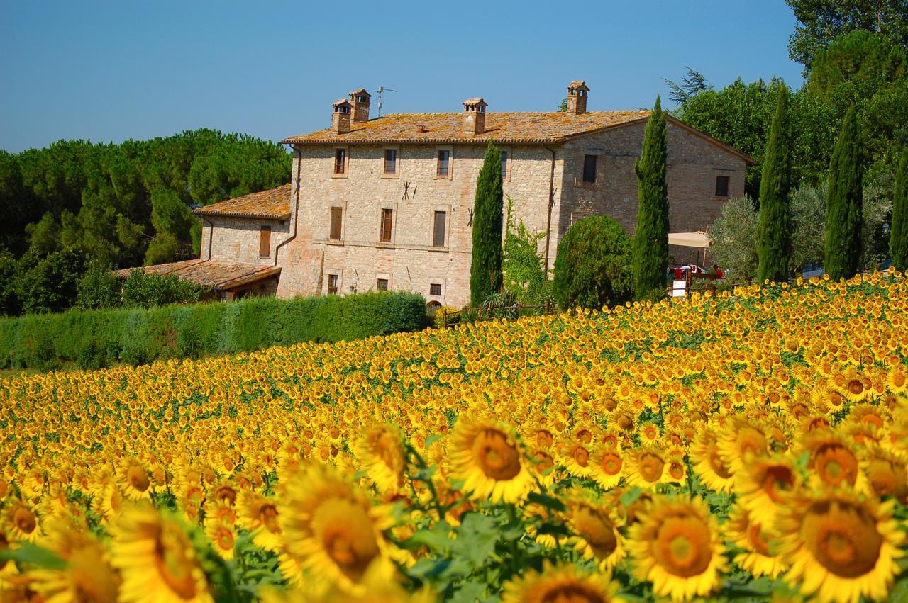 Agriturismo Casale Dei Frontini San Terenziano Dış mekan fotoğraf
